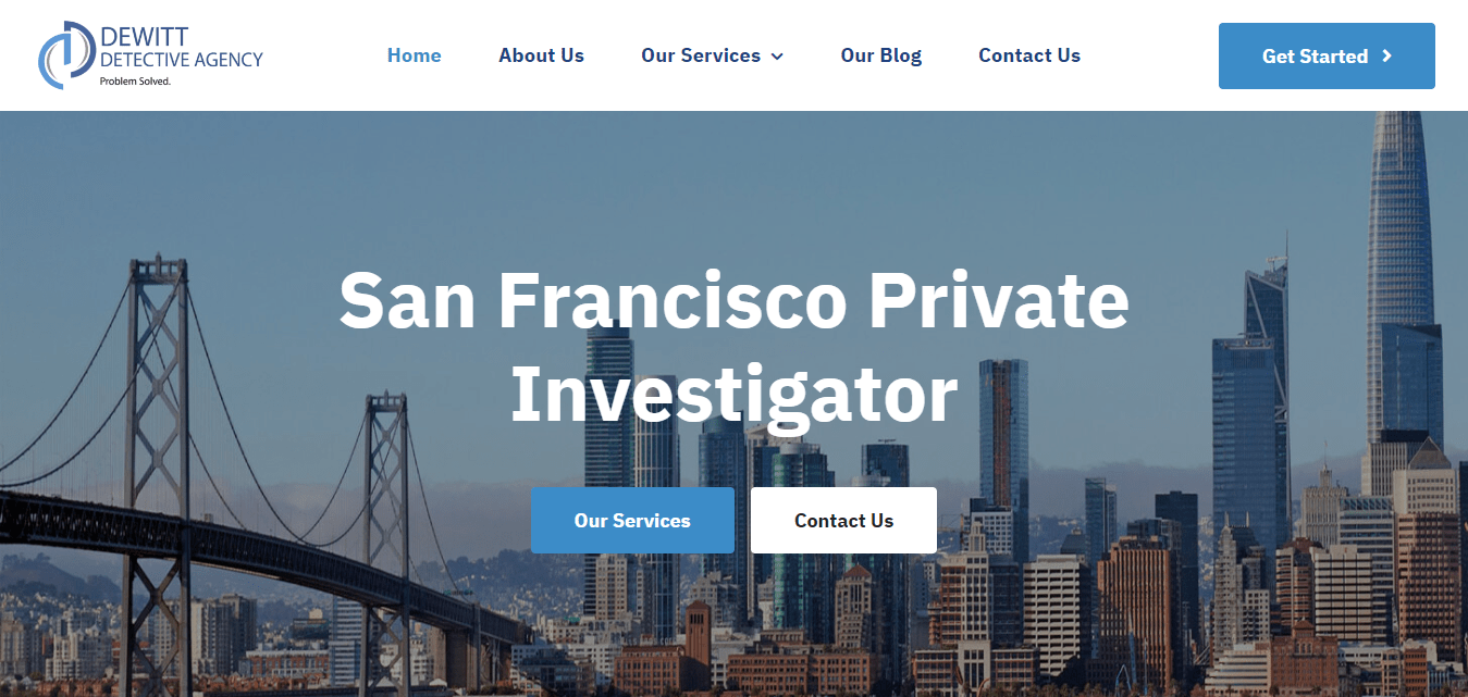 35 Private Investigator Website Design