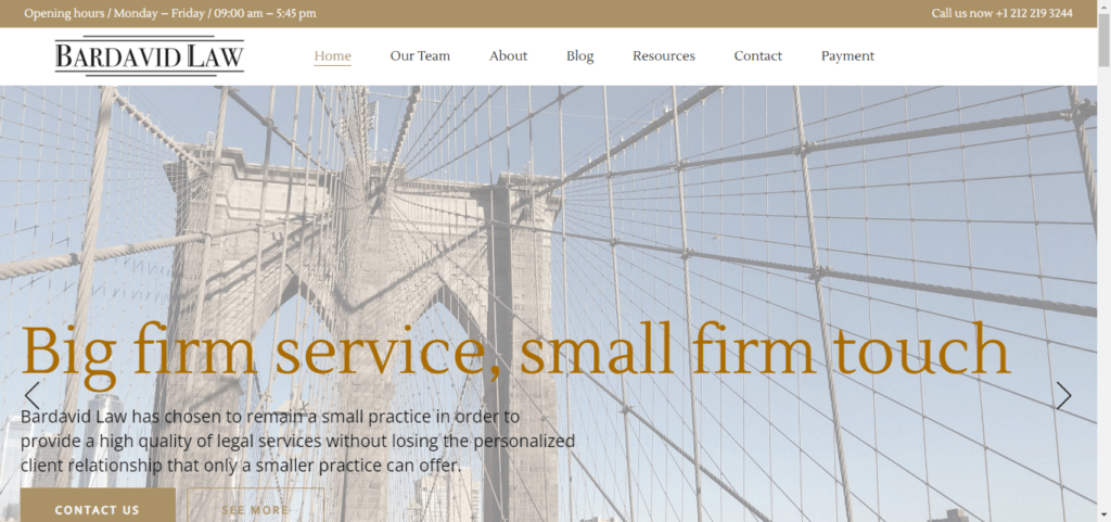 50 Best Immigration Attorney Website Designs 13 Bardavid Law
