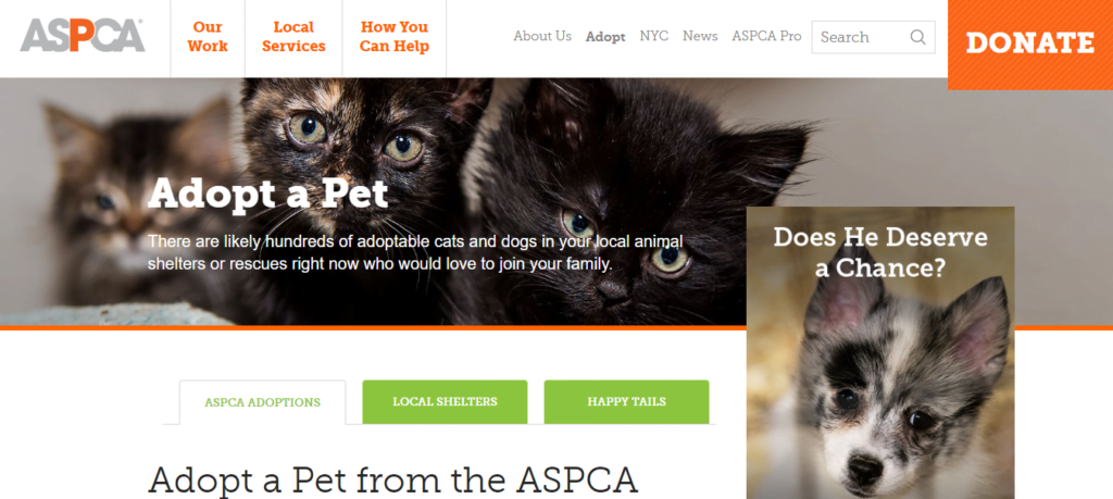 Cat Breeder Website Design 20 aspca