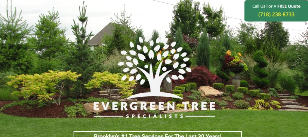 evergreentreespecialistsnyc