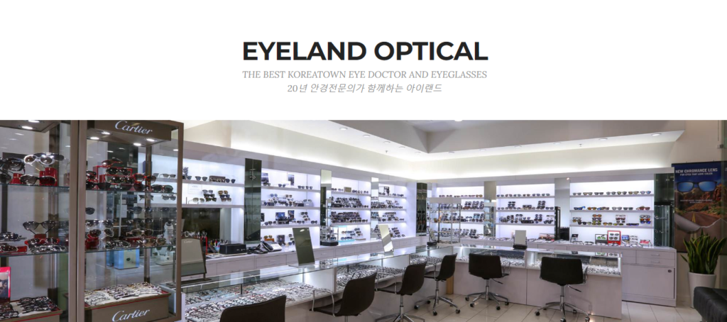Optician Website Design 41 eyeland
