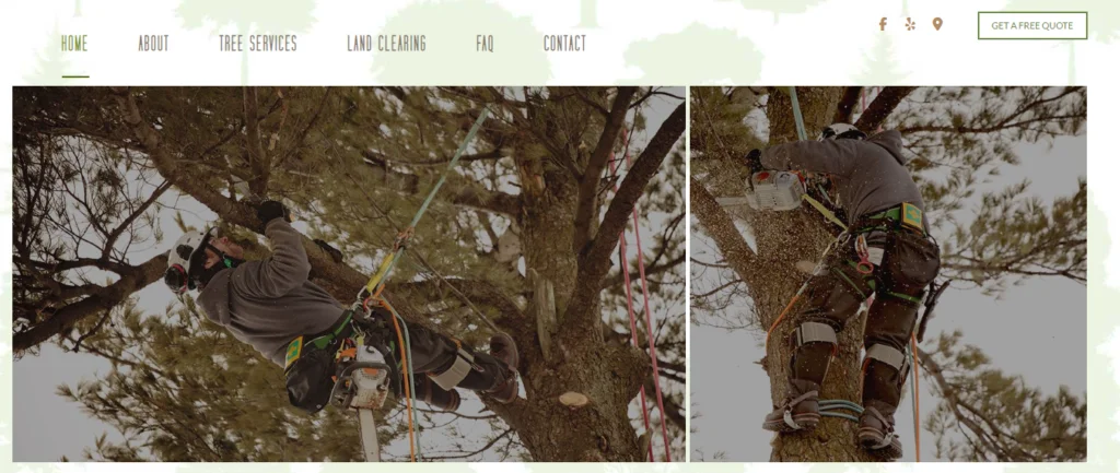 inexpensivetreeservice