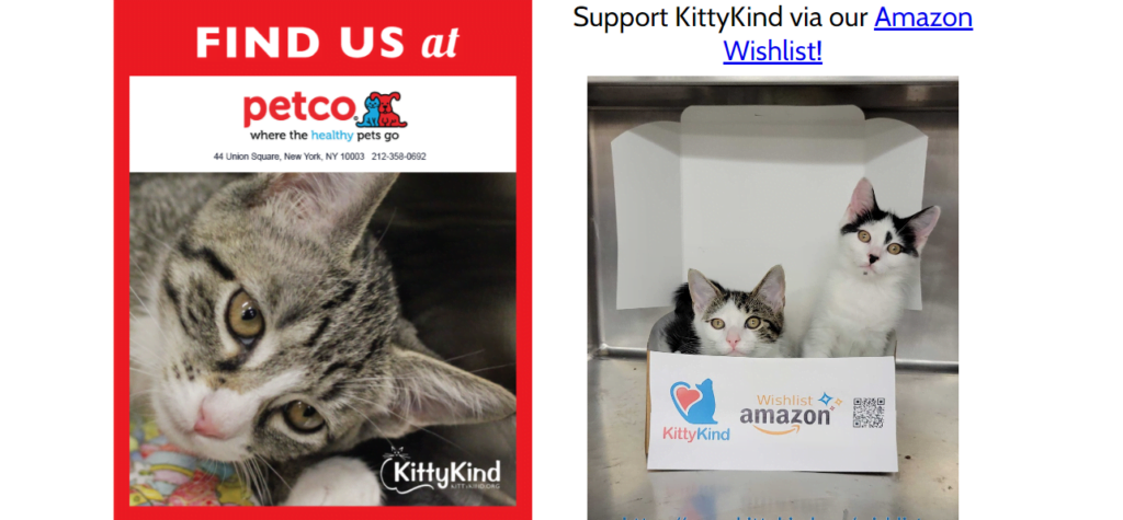 Cat Breeder Website Design 18 kittykind