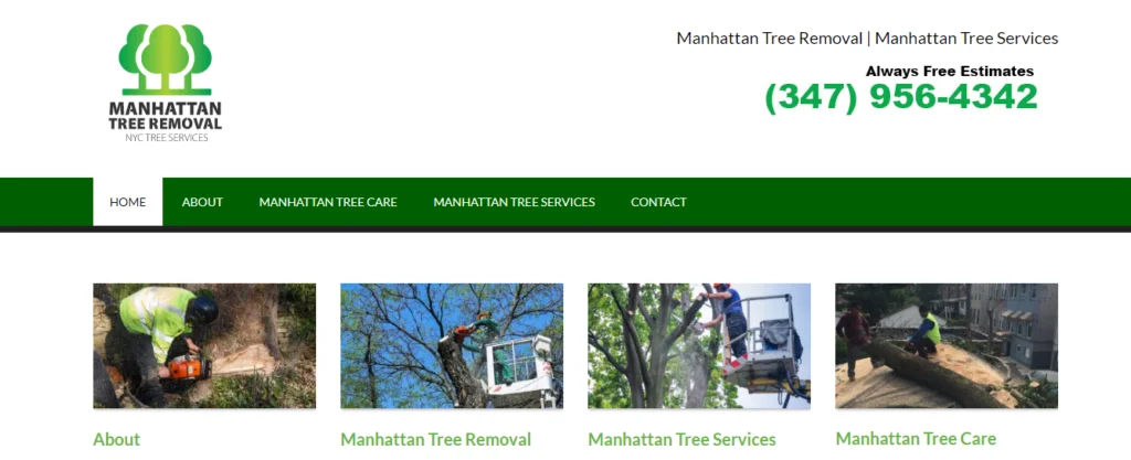 manhattantreeremoval
