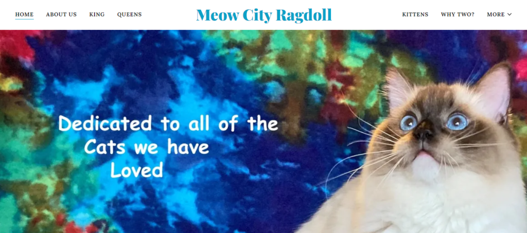 Cat Breeder Website Design 39 meowcityragdoll