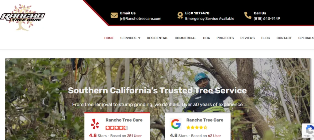 rancho treecare