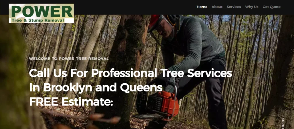 treeremovalservicesnyc