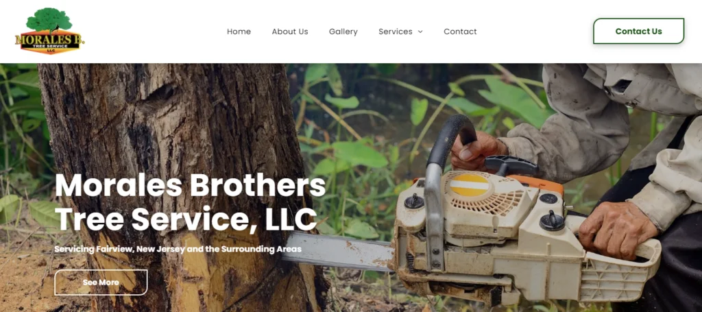 treeservicefairviewnj