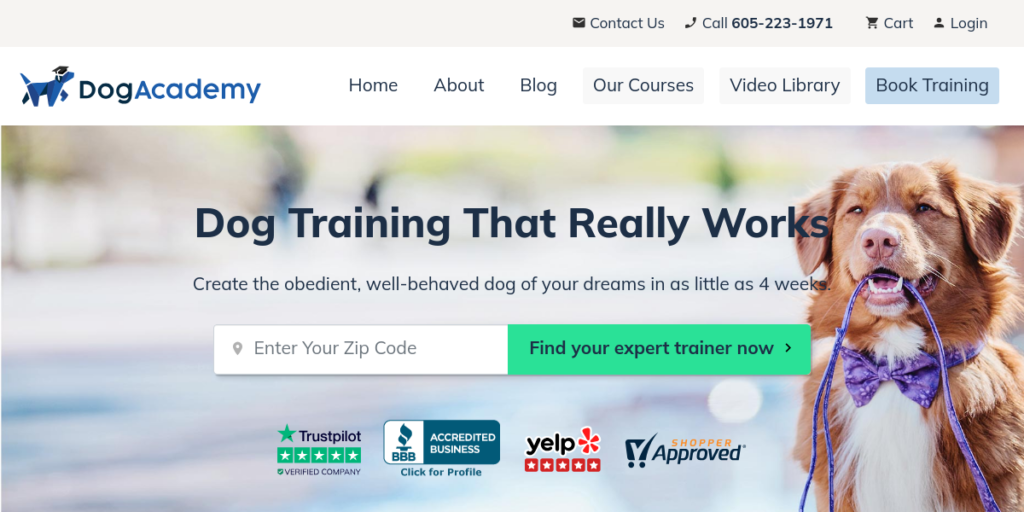 Dog Training website design 29 Academy Dog Training