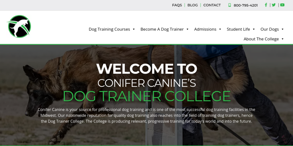Dog Training website design 14 Dog Trainer College