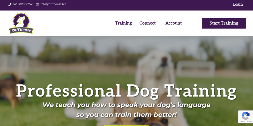Dog Training website design 17 Dog Training Tucson