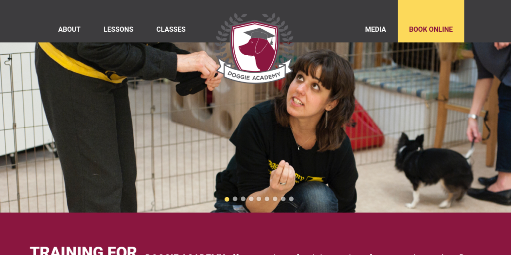 Dog Training website design 11 Doggie Academy