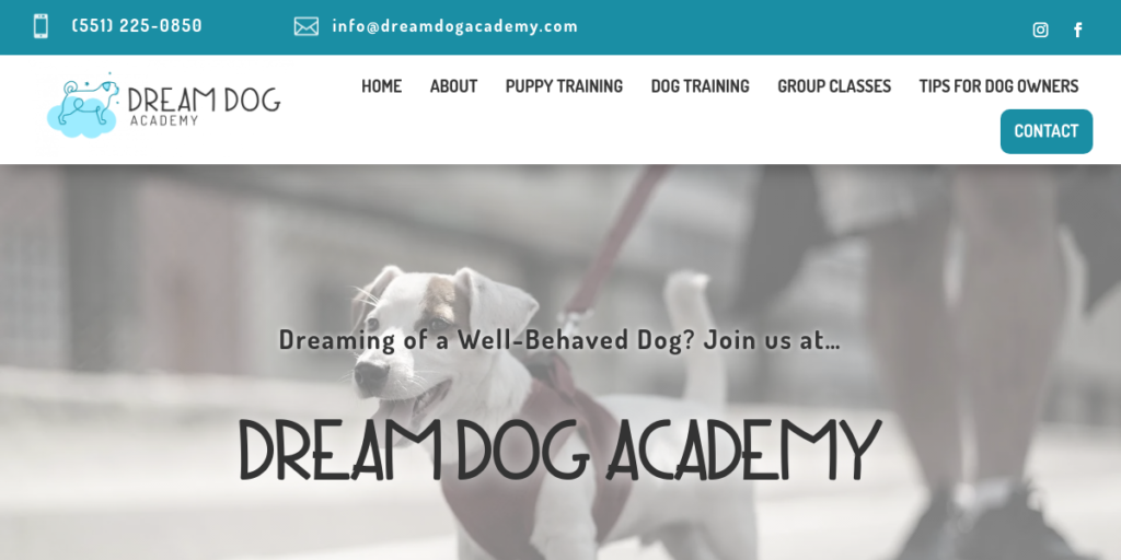 Dog Training website design 13 Dream Dog Academy