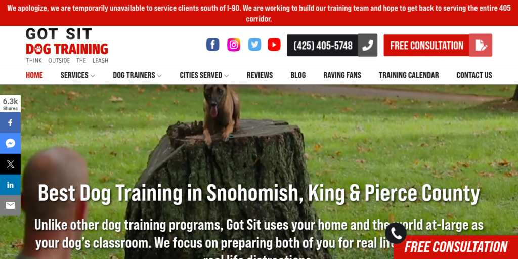 Dog Training website design 1 Go Sit Dog Training