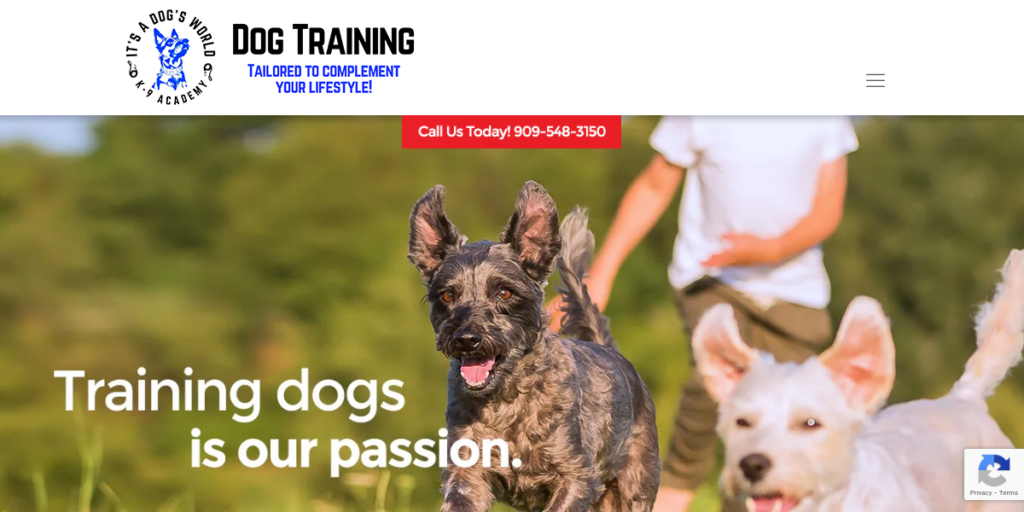 Dog Training website design 16 Its A Dogs World