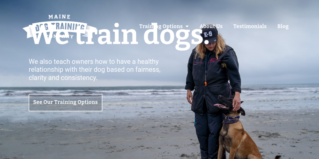 Dog Training website design 23 Maine Dog Training