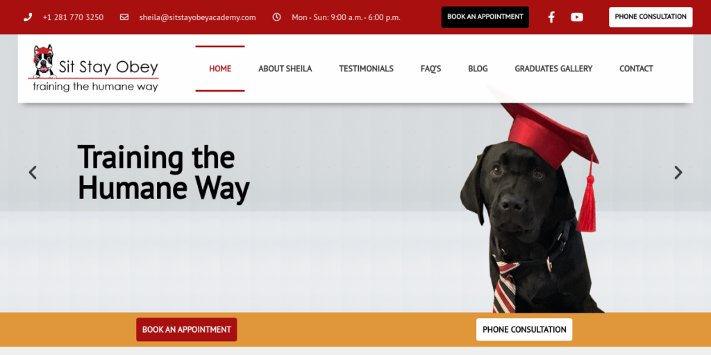 Dog Training website design 22 Sit Stay Obey