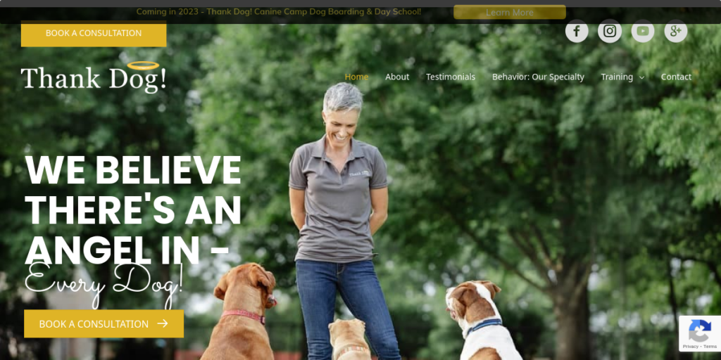 Dog Training website design 15 Thank Dog Training