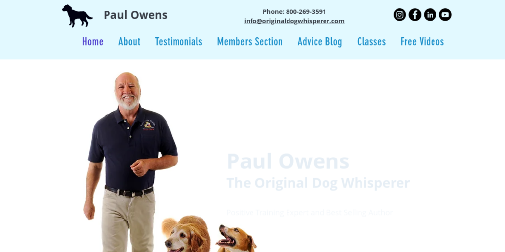 Dog Training website design 10 The Original Dog Whisperer